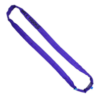 1T Round Lifting Sling (Violet)